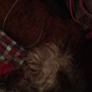 Meet your Posher, Rebecca